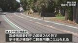 「歩行中の高齢者が軽乗用車にはねられ死亡　宮崎市田野町の国道269号」の画像1