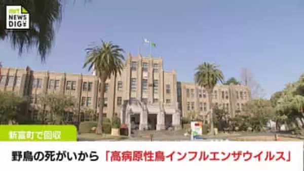 新富町で回収された野鳥の死がいから「高病原性鳥インフルエンザウイルス」検出