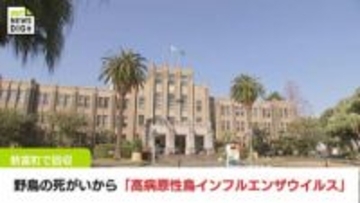 新富町で回収された野鳥の死がいから「高病原性鳥インフルエンザウイルス」検出