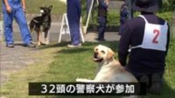 警察犬の能力の向上へ　宮崎市で競技会　ポメラニアンやシェパードなど32頭が参加
