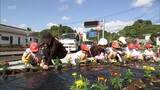 「2027年開催「宮崎国スポ・障スポ」を彩ろう　開会式会場・山之口運動公園への道路に小学生らが花の苗植え」の画像1