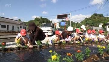 2027年開催「宮崎国スポ・障スポ」を彩ろう　開会式会場・山之口運動公園への道路に小学生らが花の苗植え