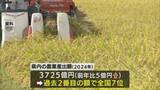 「2024年の農業産出額　宮崎県は全国７位」の画像1
