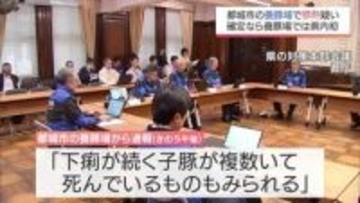 都城市の養豚場で家畜伝染病「豚熱」の疑い　国の確定検査の結果は10日午前に判明の見通し