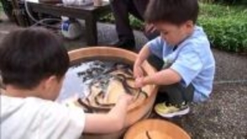 ウナギ専門店で子どもたちがウナギのつかみ取り体験