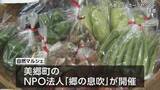 「地元の魅力を体験　美郷町で「自然マルシェ」」の画像1