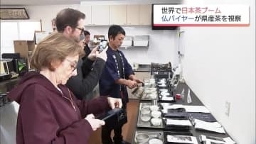 「抹茶」が世界的にブーム　フランスの食品バイヤーらが宮崎県内の茶専門業者を視察