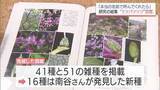 「半世紀にわたる研究の集大成　詳しい判別方法が分かる「ミツバツツジ」の図鑑を出版　宮崎植物研究会の南谷忠志さん」の画像1