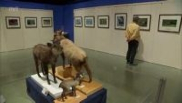 自然の風景や生き物の写真などを集めた展覧　宮崎県総合博物館でＳＳＰ展