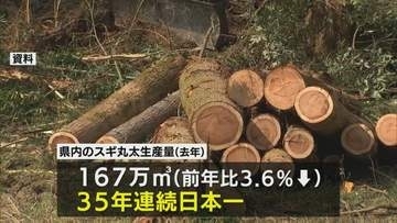 スギ丸太生産量　宮崎県が35年連続日本一