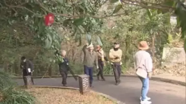 日本三大群落地の1つ　延岡・城山ヤブツバキを楽しむ会