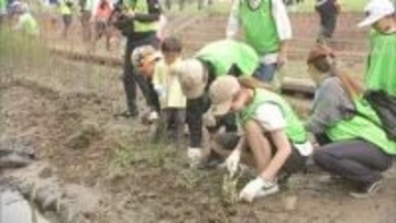 NPO法人とセブン‐イレブン記念財団　大淀川の環境保全活動