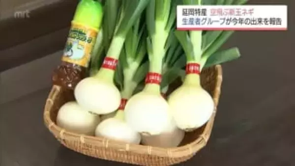 みずみずしさとほのかな辛み　延岡特産「空飛ぶ新玉ネギ」をPR