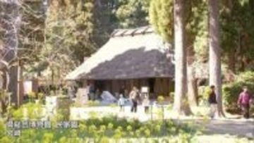 宮崎県総合博物館の民家園で春まつり