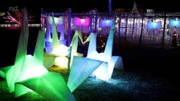 約１０万球のイルミネーションが彩る　日南市堀川運河沿いの「堀川夢ひろば」