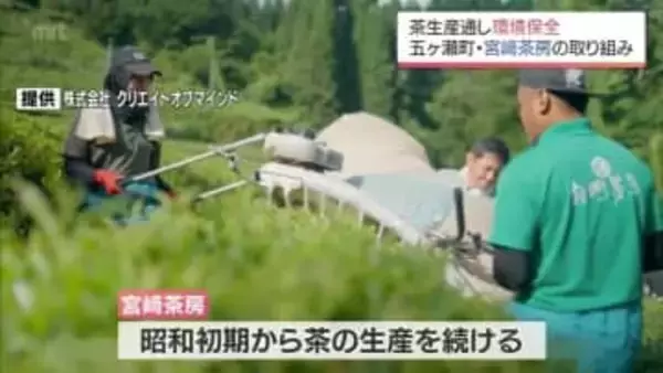 農薬に頼らない有機栽培で水源地の土壌・水質の保全に取り組む　五ヶ瀬町「宮﨑茶房」