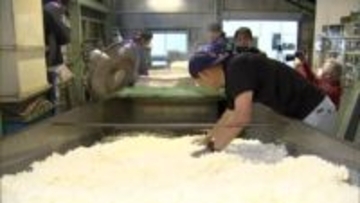 延岡市にある清酒専門の蔵元　新酒の仕込みが本格化