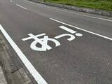 「事故が大幅減の前例も 路面に謎の「あっ！」出現 危険な通学路の安全対策」の画像1