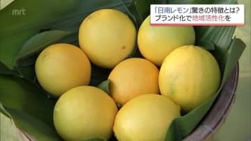 皮の苦味少なくジューシー 「食べられるレモン」日南レモンに熱い視線