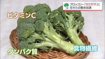 52年ぶりの"指定野菜"昇格「ブロッコリー」　宮崎県内で"産地化"目指す取り組み