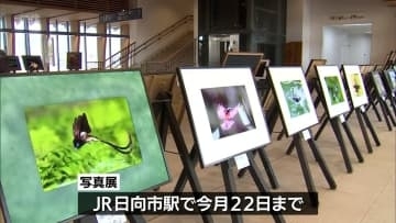 風景や動物の美しさを収めた写真展　JR日向市駅で22日まで