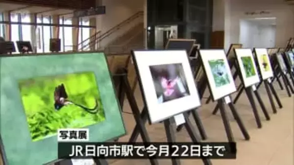 風景や動物の美しさを収めた写真展　JR日向市駅で22日まで