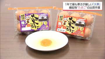 金運・健康運アップ!?縁起物の「大寒たまご」　都城市で出荷作業