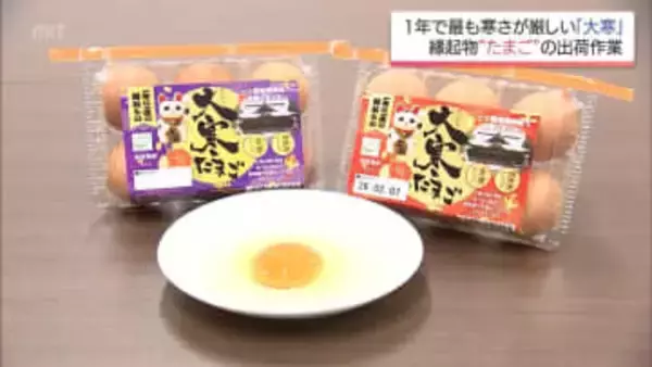 金運・健康運アップ!?縁起物の「大寒たまご」　都城市で出荷作業
