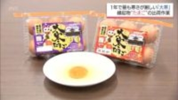 金運・健康運アップ!?縁起物の「大寒たまご」　都城市で出荷作業