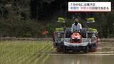 「早期水稲が盛んな串間市　早くも田植えが始まる」の画像1