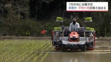 早期水稲が盛んな串間市　早くも田植えが始まる