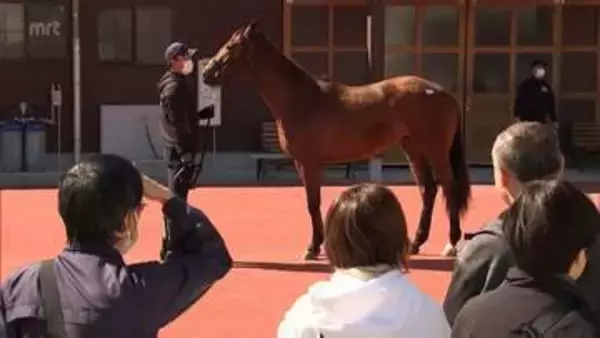 JRA宮崎育成牧場で春の育成馬見学会