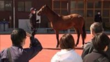 JRA宮崎育成牧場で春の育成馬見学会