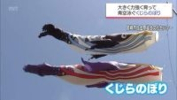 スッキリと広がった青空に悠々と舞う　宮崎市佐土原町で恒例「くじらのぼり」