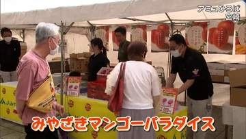 5月25日は「みやざきマンゴーの日」　宮崎市でPRイベント　みやざきマンゴーパラダイス