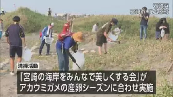 アカウミガメの産卵地を美しく　石崎浜で海岸の清掃活動