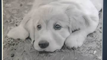 鉛筆1本で人物や風景などを繊細に描いた作品展　延岡市で21日まで