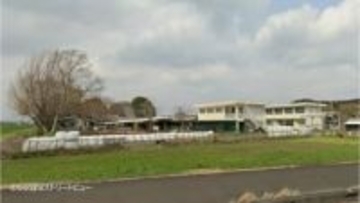 都城農業高校が管理している牛3頭が牛舎から脱走　1頭が道路を走行中の軽自動車と衝突する事故