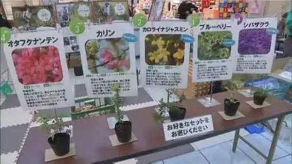 県民緑化推進運動　宮崎市の大型商業施設で苗木の配布