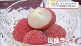 「「マンゴーよりもライチやな」　国内流通わずか2％未満の超希少な「生ライチ」を特産品に　関係者の挑戦」の画像1