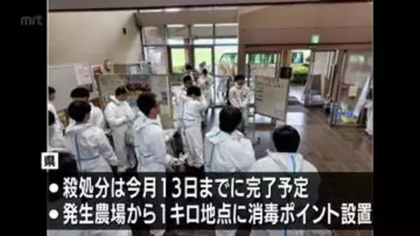 都城市の養豚場の「豚熱」　ウイルスは「野外由来」と判明　約5500頭の殺処分開始
