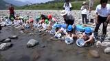 「ウナギの資源保護に理解を深めて　日向市の耳川で子どもたちがウナギの放流体験」の画像1