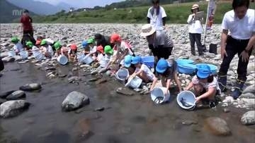 ウナギの資源保護に理解を深めて　日向市の耳川で子どもたちがウナギの放流体験