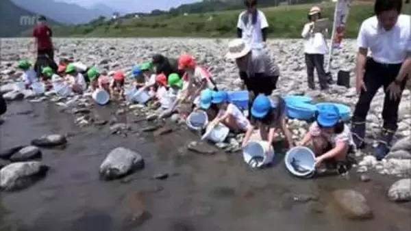 ウナギの資源保護に理解を深めて　日向市の耳川で子どもたちがウナギの放流体験
