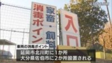 宮崎県延岡市の鳥インフルエンザ 防疫措置完了