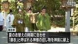 「神様の衣替え　宮崎神宮で「御衣祭」」の画像1