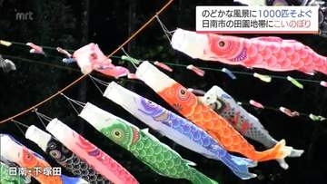 のどかな田園地帯に約1000匹のこいのぼり　日南市下塚田地区