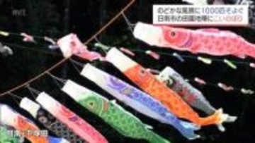 のどかな田園地帯に約1000匹のこいのぼり　日南市下塚田地区