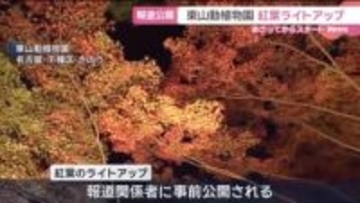 東山動植物園で紅葉のライトアップ　22日から12月7日までの土日祝7日間、午後8時半まで　名古屋