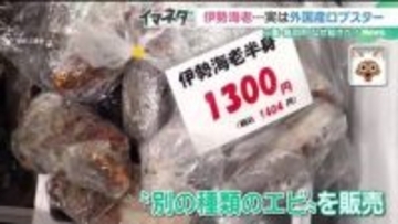 高級食材「伊勢海老」のはずが実は外国産ロブスター　通報者「色が違う若干赤い」　三重
